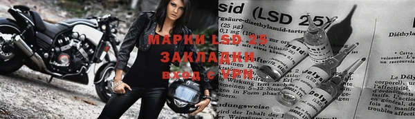 МДПВ Алзамай