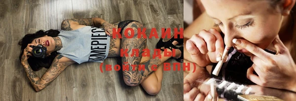 МДПВ Алзамай