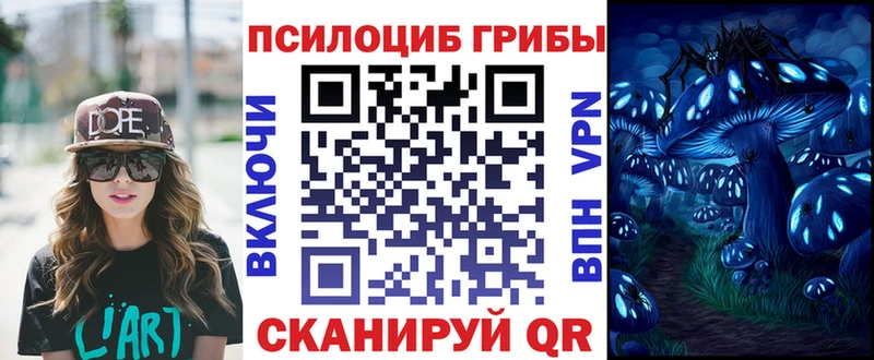 Галлюциногенные грибы Cubensis  Купить где  Теберда 